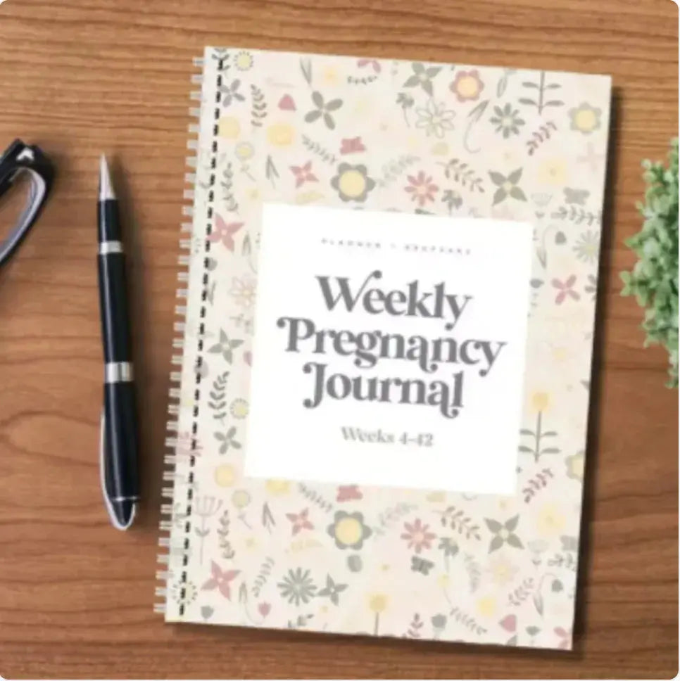 Bump to Baby Journal BlissBump