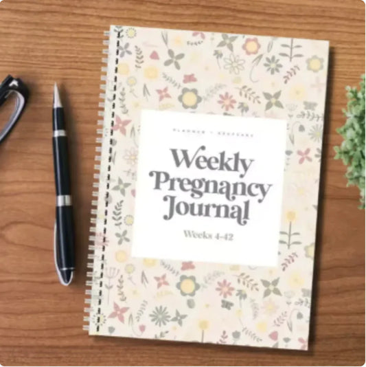 Bump to Baby Journal